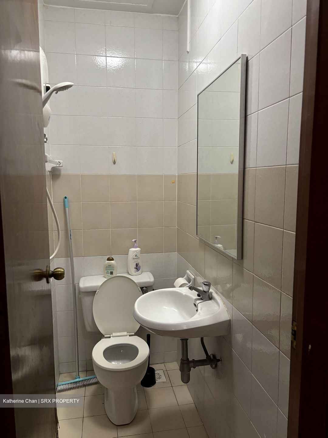 Dover Parkview (D5), Condominium #594175211
